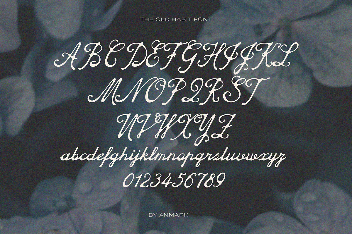 The Old Habit Vintage Script Font, a Script Font by AnMark (Photo 5 of 13)