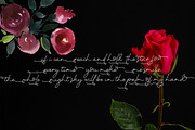 Twenty One, a Script Font by Akifatype. (Thumbnail 6 of 7)