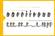 XXII Yeah Script, a Script Font by Doubletwo Studios (Thumbnail 8 of 12)