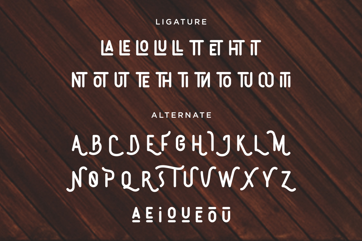 Brotherhood - Monoline Display, a Sans Serif Font by Dharmas Foundry (Photo 14 of 15)