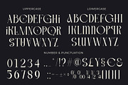 Bloved a Classy Thin Serif Font, a Serif Font by Honestype (Thumbnail 10 of 12)