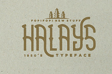 Sale ! 50% Halays Typeface (Bonus)
