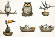 Quirky Funny Birds Clipart, an Illustration by DreamCafeArt (Thumbnail 5 of 8)