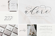 Modern Script FONT BUNDLE, a Script Font by The Styled Script (Thumbnail 3 of 9)