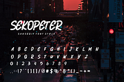 Sekopeter Sanserif Font ., a Sans Serif Font by VectorCraft (Thumbnail 4 of 5)