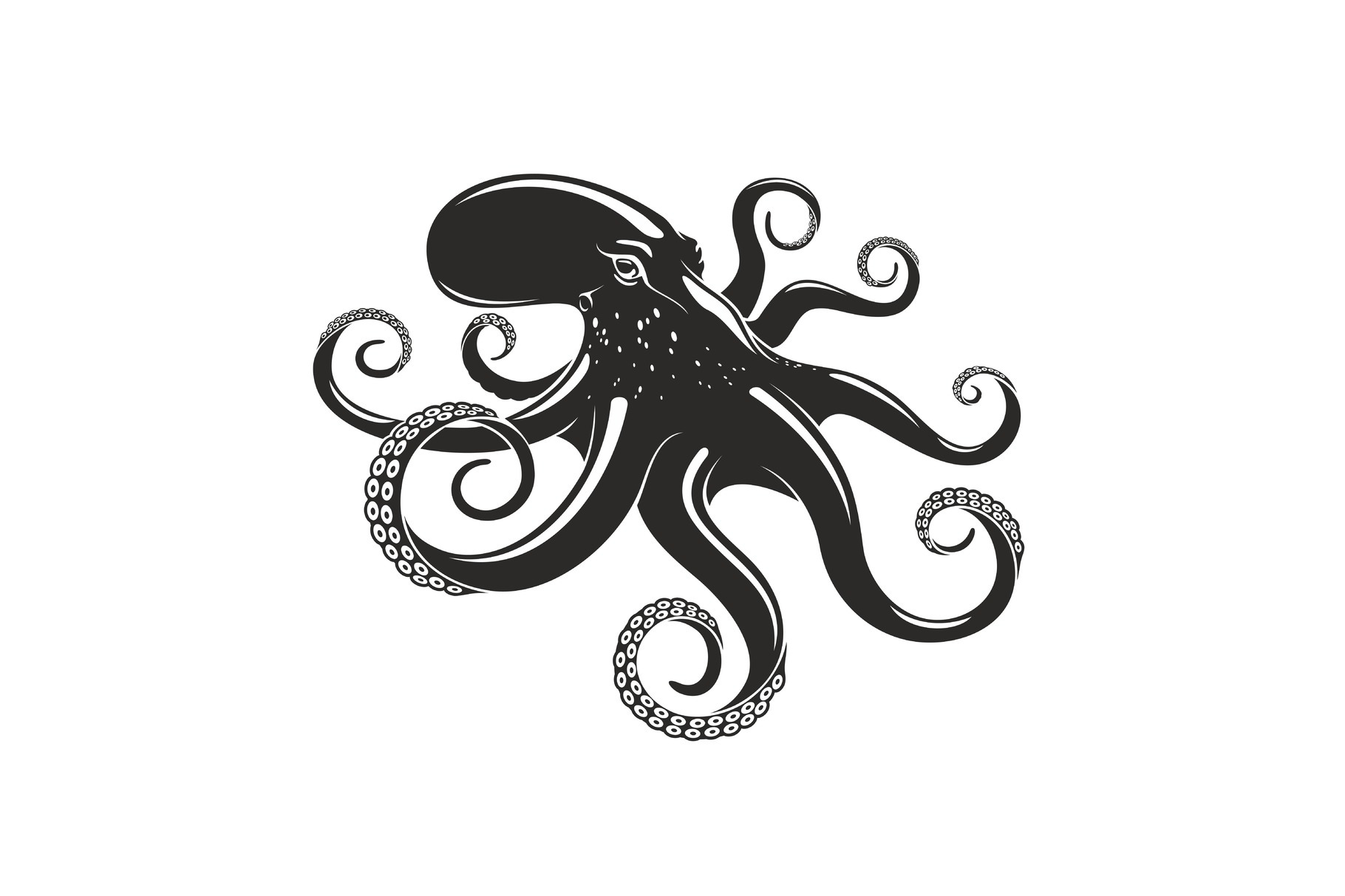 Octopus vector ocean seafood mollusc icon, an Animal Illustration by ...
