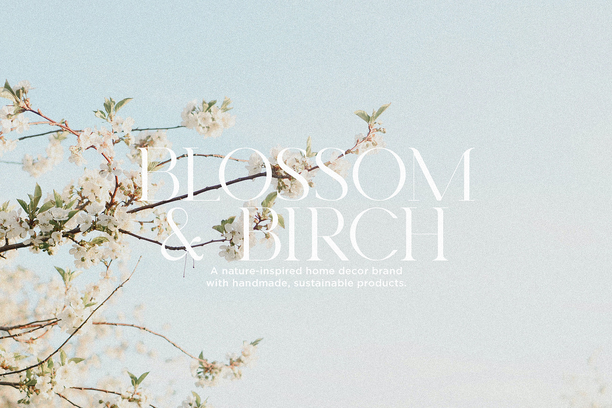 Royal Garden - Unique Semi Serif, a Serif Font by Schrifted Type (Photo 5 of 8)