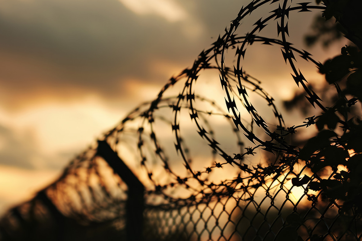 Barbed wire - 55 images, a Background Photo by Handmadefont (Photo 10 of 15)