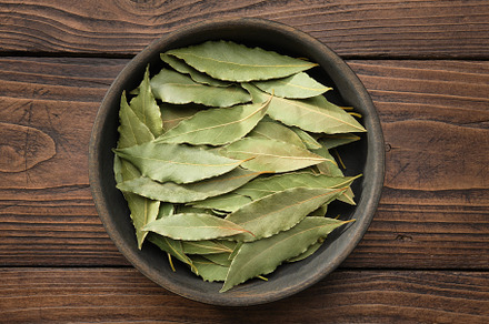 Bowl of dried laurel leaves on board, a Food & Drink Photo by chamillewhite