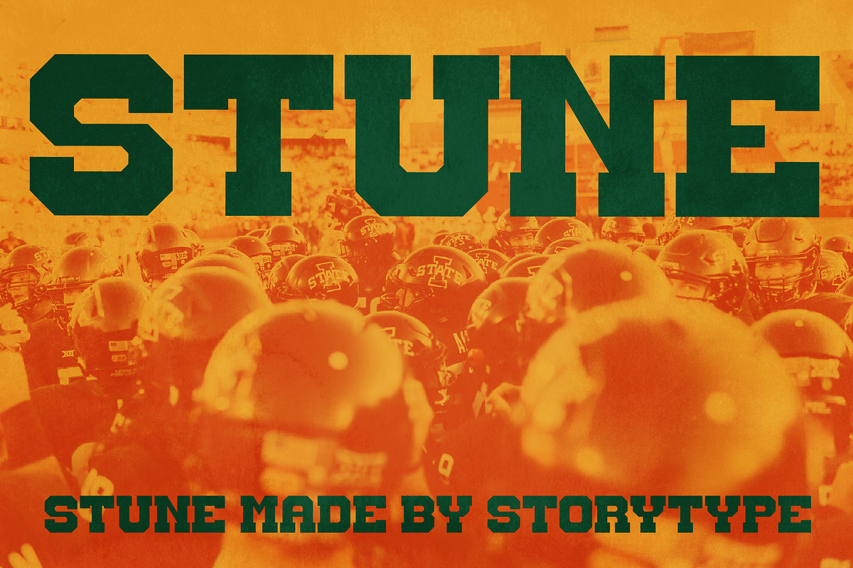 Stune Bold Display Font, a Sans Serif Font by Storytype Studio (Photo 1 of 15)