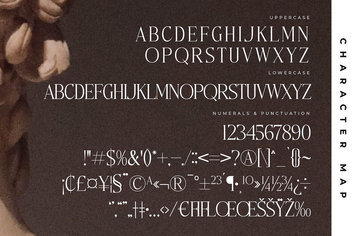 Ethena Emporium Font Duo, a Serif Font by Storytype Studio