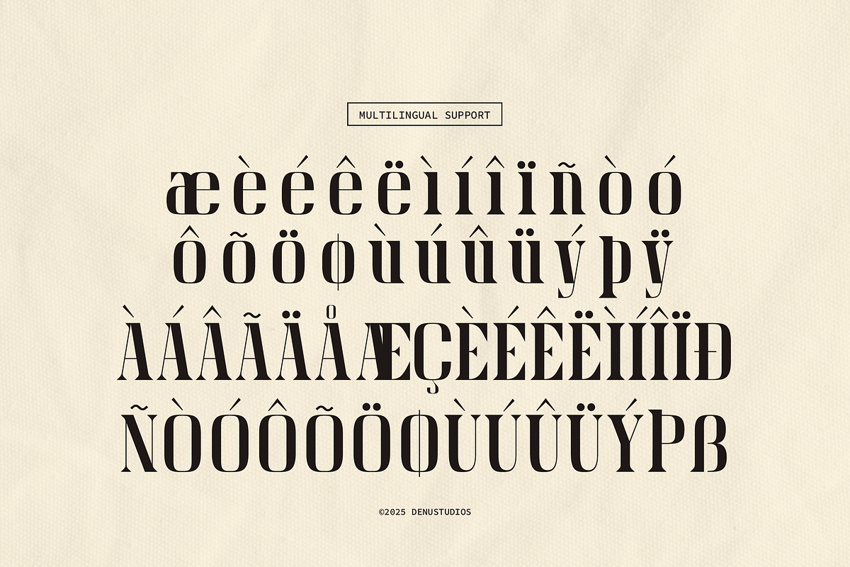 Meciera | Combination Serif, a Serif Font by Denustudios (Photo 12 of 13)