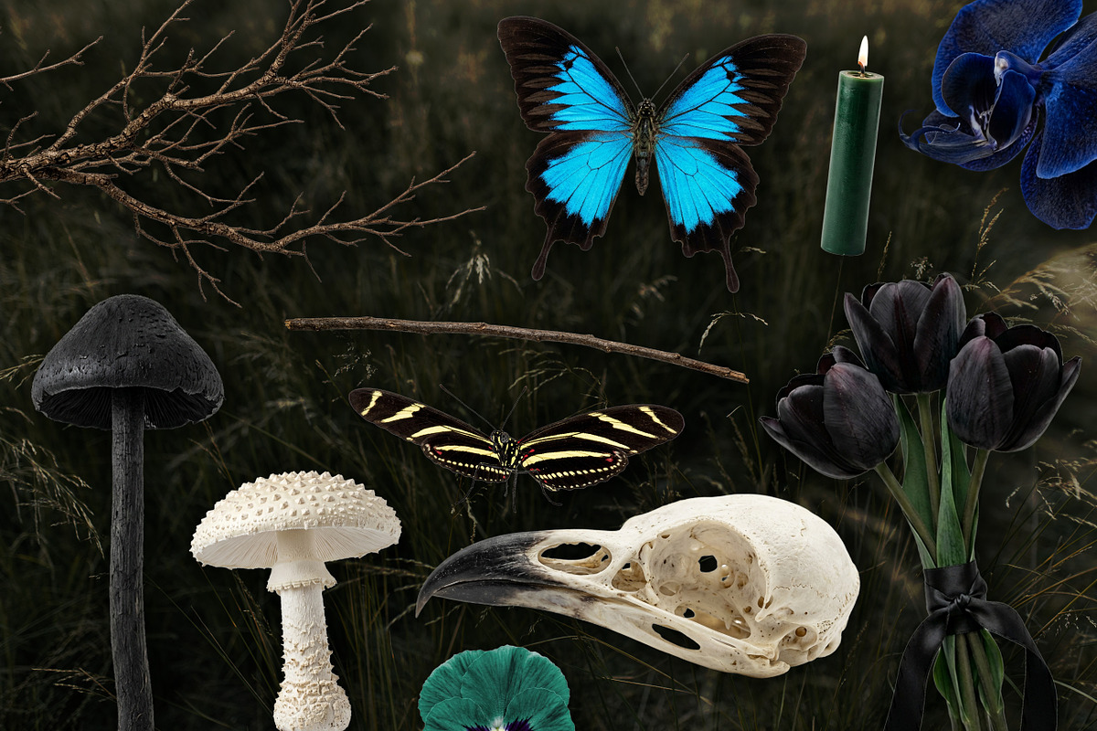 Witch's Magic Garden Collage Kit, an Object Illustration by Vicccky (Photo 9 of 9)
