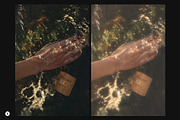 Soft Focus Photo Effect, a Texture Graphic by Freezerondigital (Thumbnail 4 of 7)