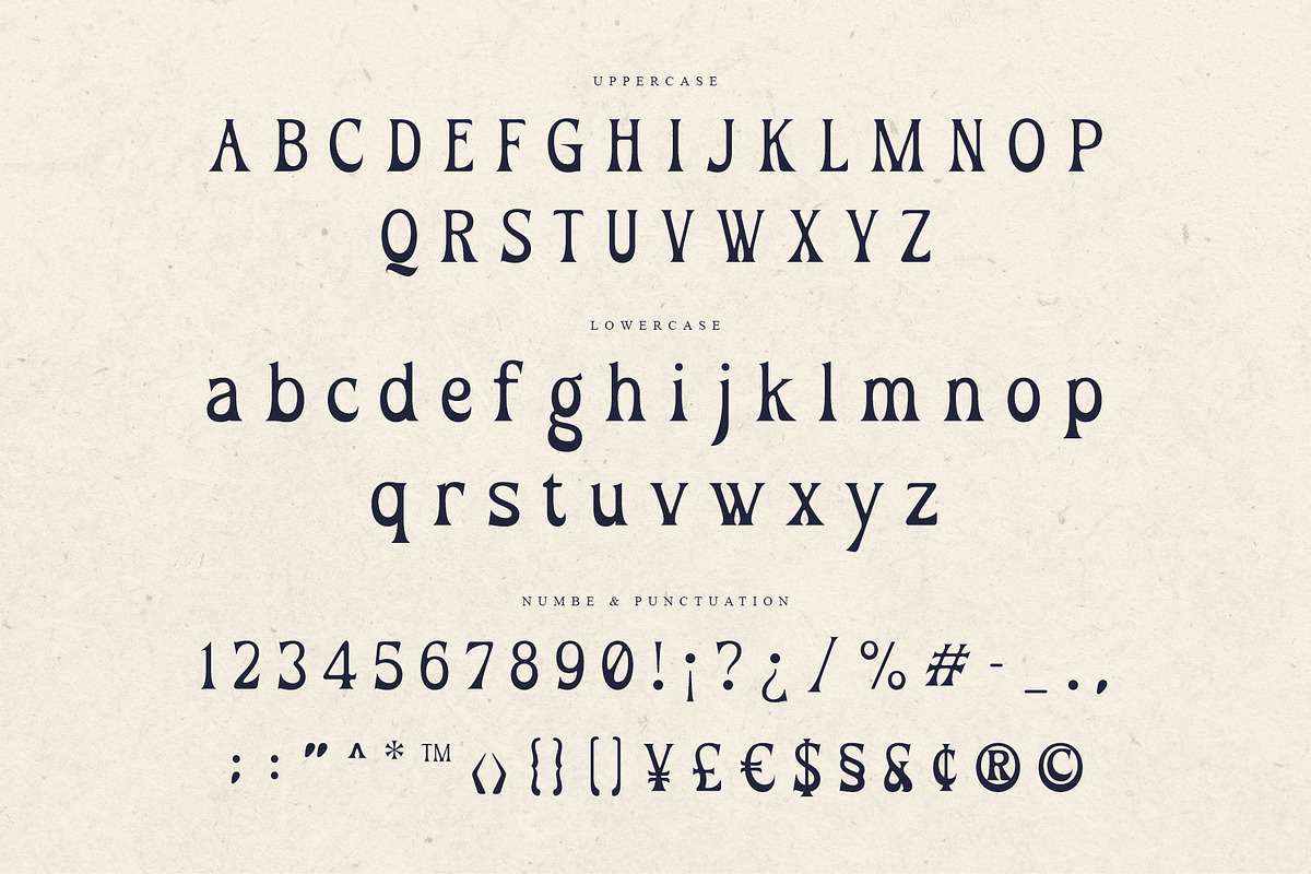 Omega – Serif Display Font, a Serif Font by Almeera Std (Photo 7 of 10)