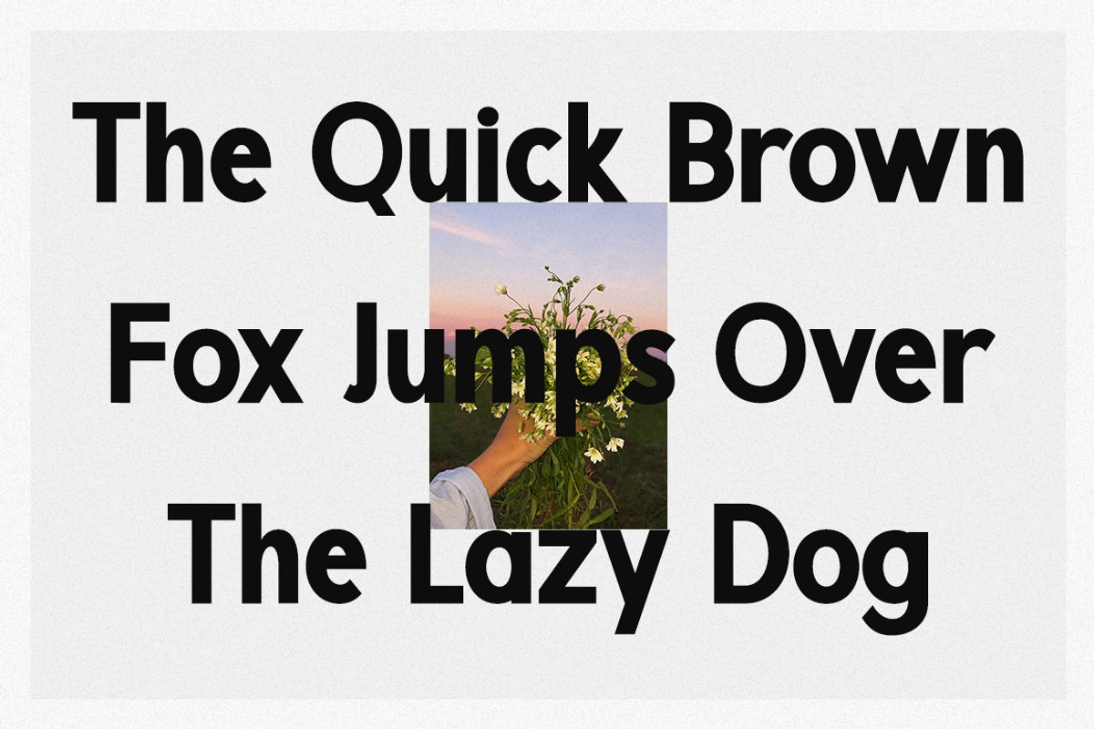Congrates - Logo Font, a Sans Serif Font by RockboyStd (Photo 8 of 12)