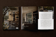 Timeless Editorial - Elegant Serif, a Script Font by AndrewPixelType (Thumbnail 5 of 17)