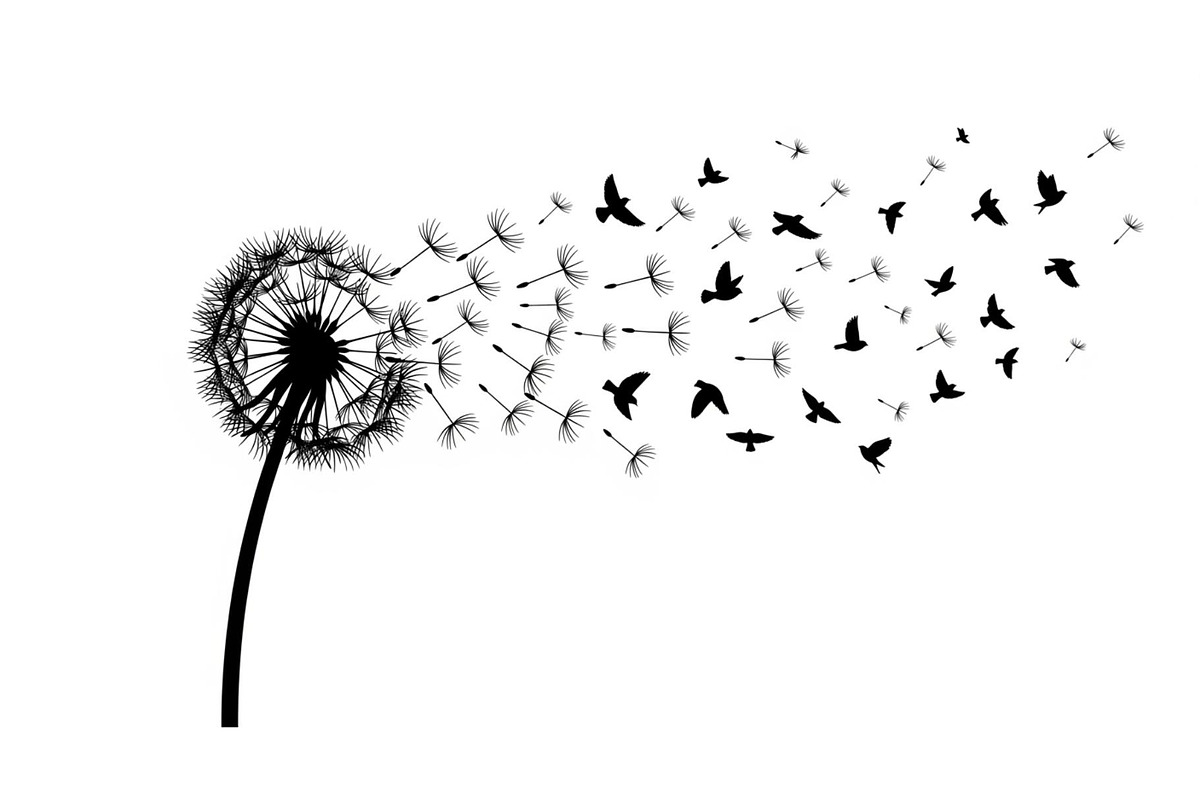 Dandelion Blow Silhouette Bundle, an Illustration by yasushie (Photo 3 of 31)