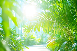 Sunlight filtering through vibrant, a Nature Photo by Lermont51