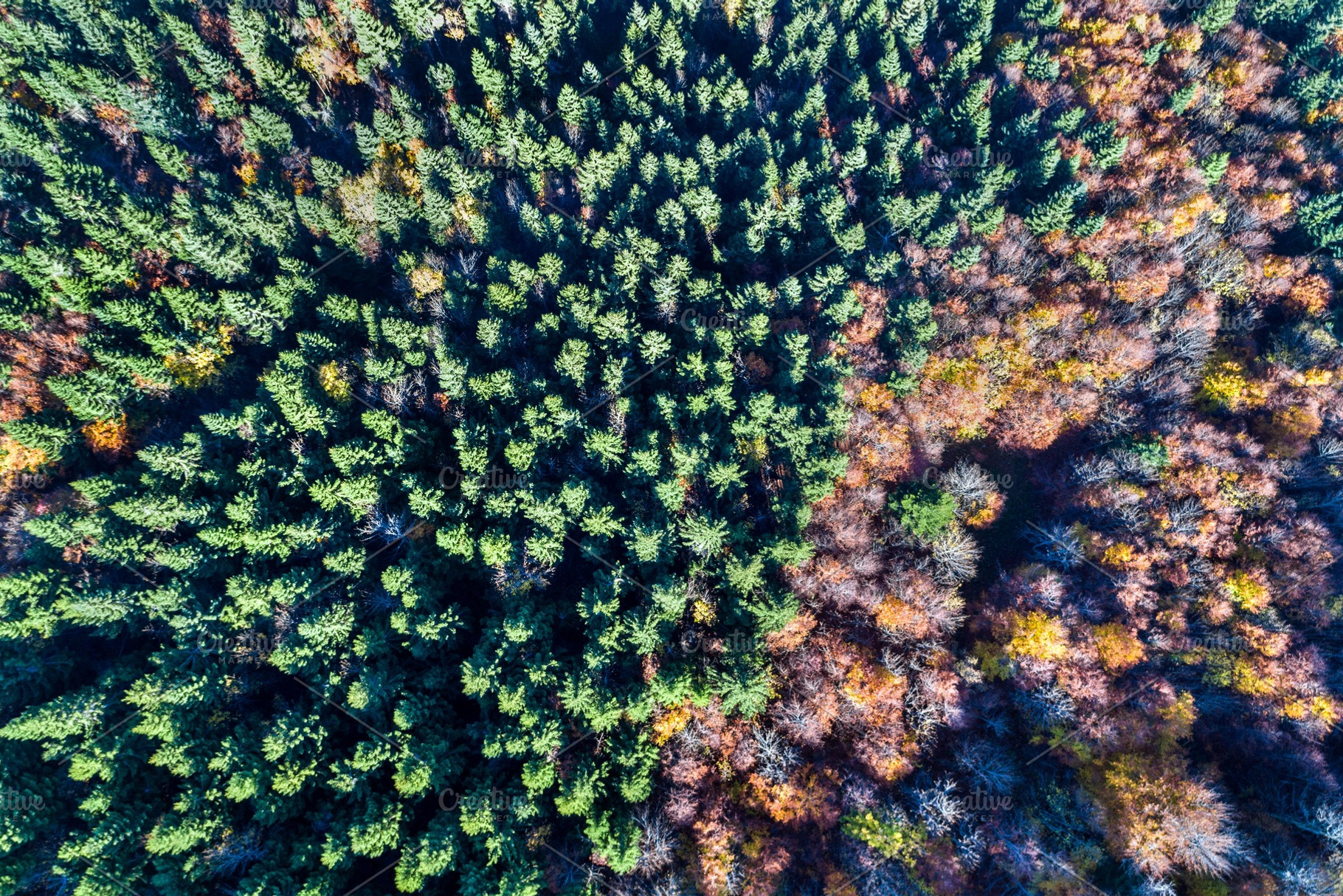 Aerial view of trees in the vosges mountains in autumn stock photo containing, an Architecture Photo by Leonid Andronov