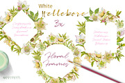 White Hellebore-Floral Clipart, an Illustration by watercolorwild.graphics (Thumbnail 4 of 7)