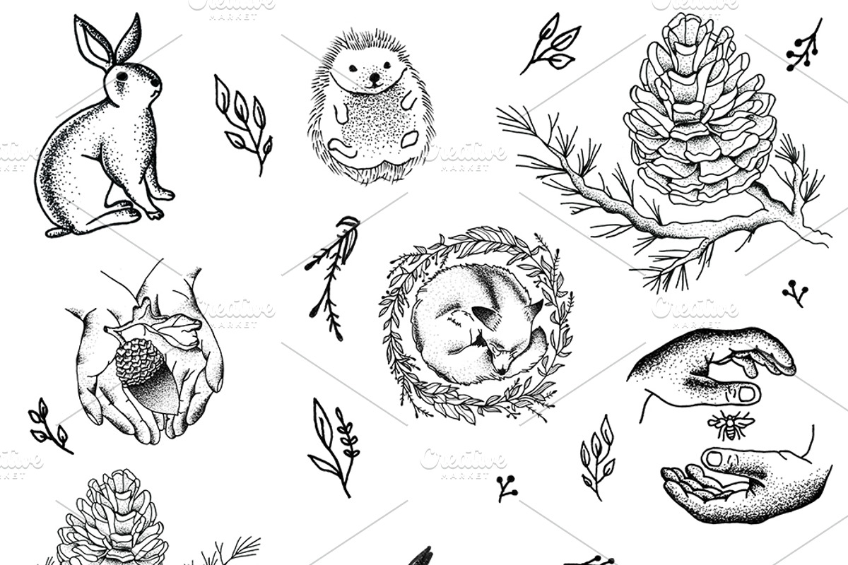 Graphic illustration set, an Illustration by Alena Ermakova (Photo 6 of 8)
