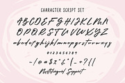 Radiant Blossom - Lovely Combination, a Script Font by ErgibiStudio (Thumbnail 9 of 10)