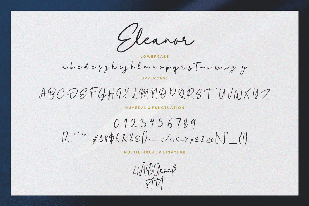 Eleanor Handwritten Wedding Font preview 7