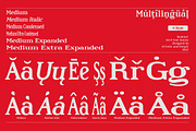 Kashmir - Serif font family, a Serif Font by Artistic & Unique (Thumbnail 6 of 15)