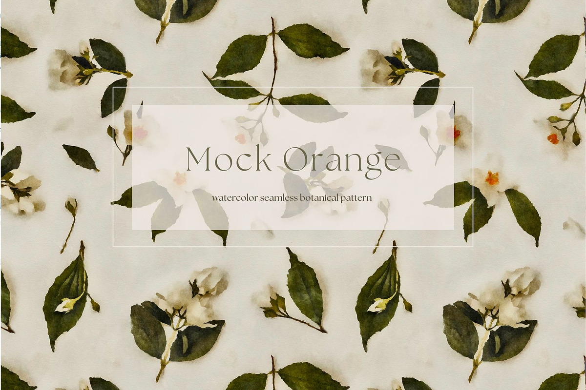 Pattern Mock Orange Blooms, a Pattern Graphic by MouseGrey (Photo 1 of 6)