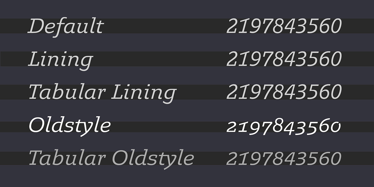 Legit Slab, a Slab Serif Font by Finaltype (Photo 4 of 12)