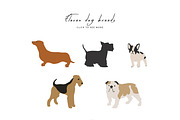 Modern Scene Creator + Add-ons, an Animal Illustration by The Template Depot (Thumbnail 21 of 40)