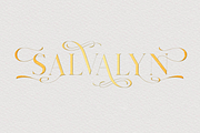 Salvalyn - Stylistic Serif Font, a Serif Font by Craft Supply Co. (Thumbnail 11 of 12)