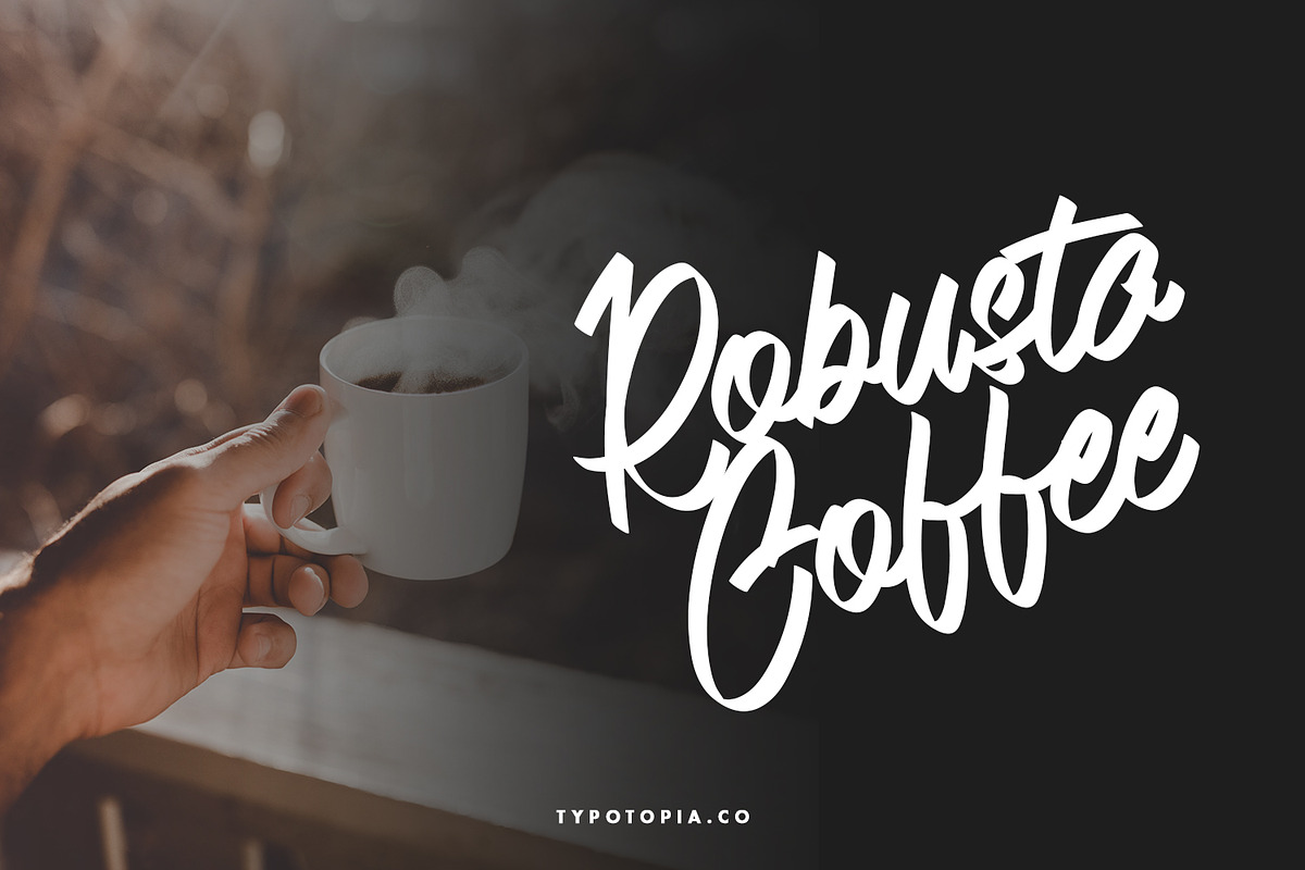 Andals Script Typeface, a Script Font by edukka (Photo 3 of 7)