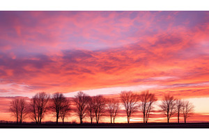gold pink sunrise clouds ai, a Background Photo by pikepicture
