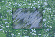Caelum - Botanical Backgrounds, a Texture Graphic by Watercolor_Ma (Thumbnail 6 of 9)