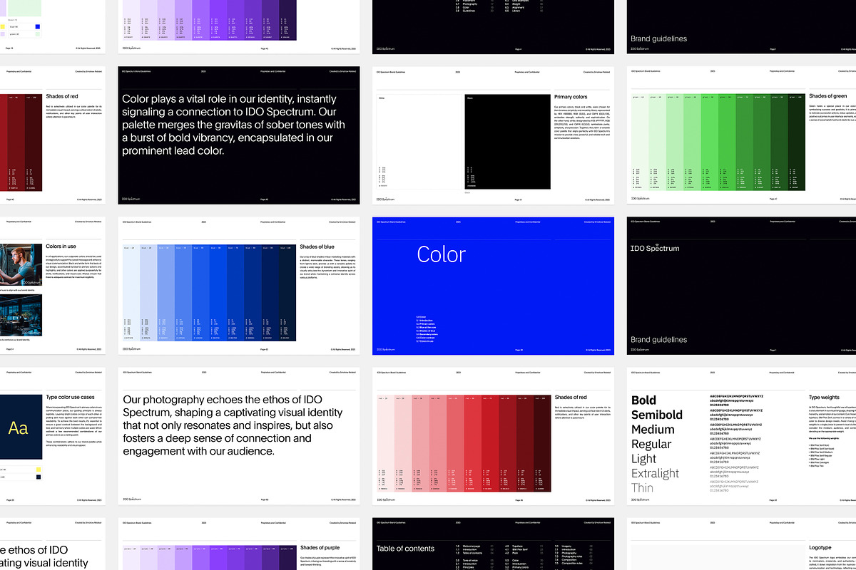 IDO Spectrum Brand Style Guidelines, a Presentation Template by Smotrow Related (Photo 5 of 15)