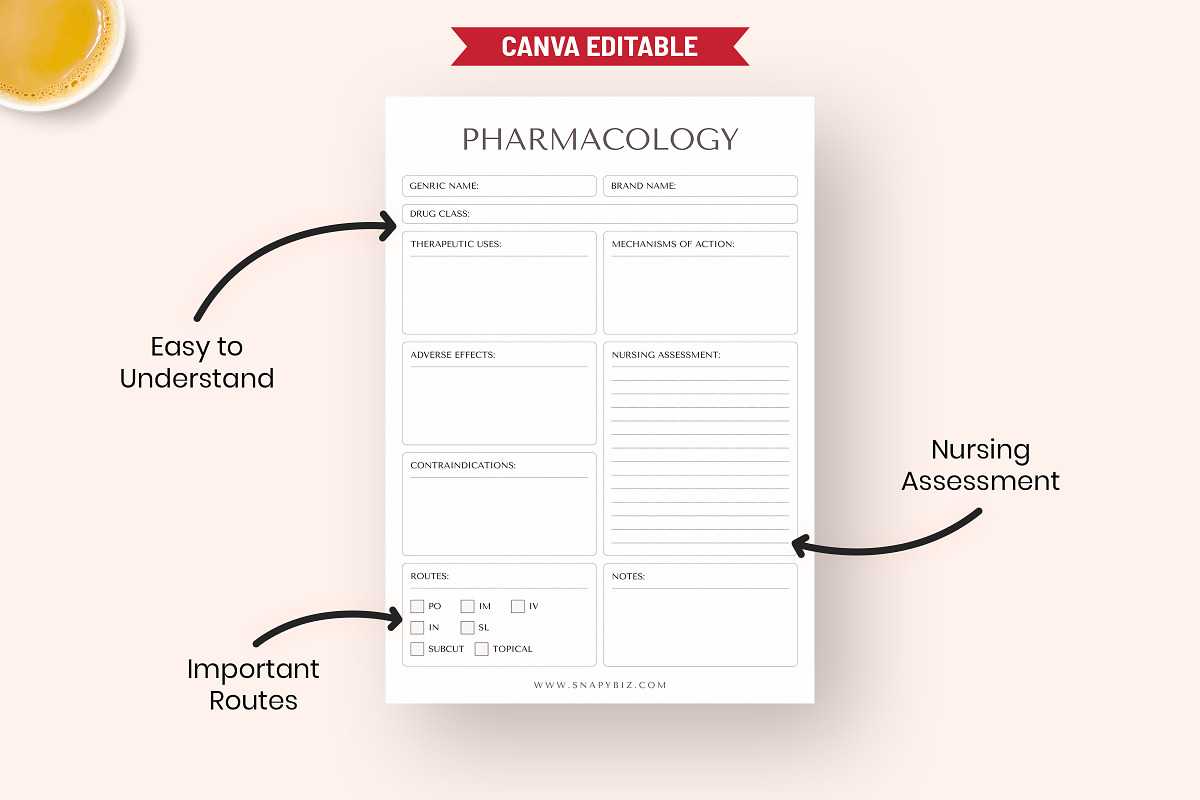 Canva Pharmacology Nursing PDF, a Stationery Template by Snapybiz (Photo 3 of 11)