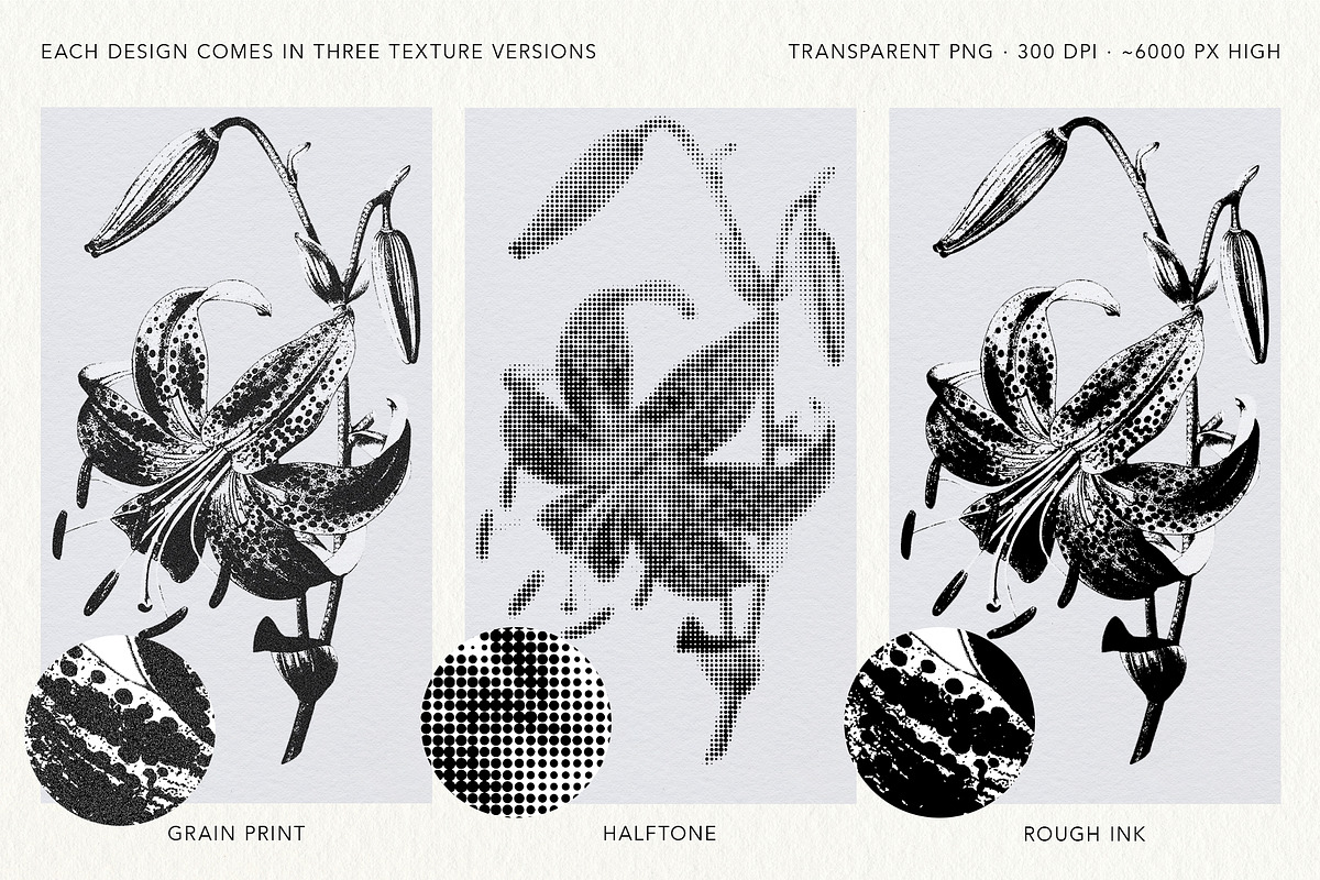 Floral Halftone & Ink PNG Overlays, an Object Graphic by alonahaidash (Photo 4 of 11)