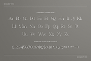 Allegrand - Elegant Serif Font, a Font by RockboyStd (Thumbnail 10 of 12)