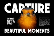 Shawkind - Display Font, a Sans Serif Font by Arterfak Project (Thumbnail 7 of 12)