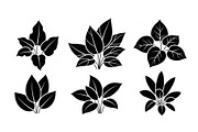 Minimal Botanical Leaf Silhouette Bu, an Illustration by Creativeshirt (Thumbnail 40 of 51)