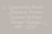 Panasea | 12 Fonts, a Serif Font by Skinny Type (Thumbnail 12 of 15)