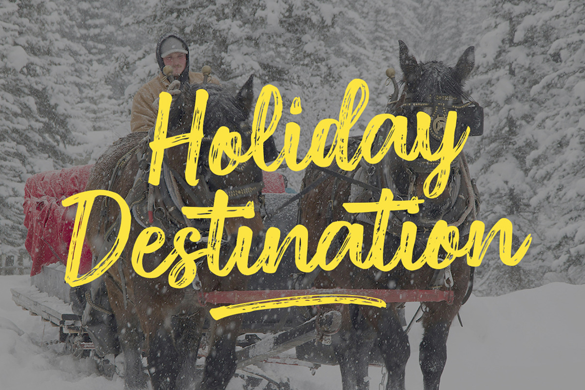 Diston Brush, a Script Font by Stripes Studio (Photo 5 of 6)