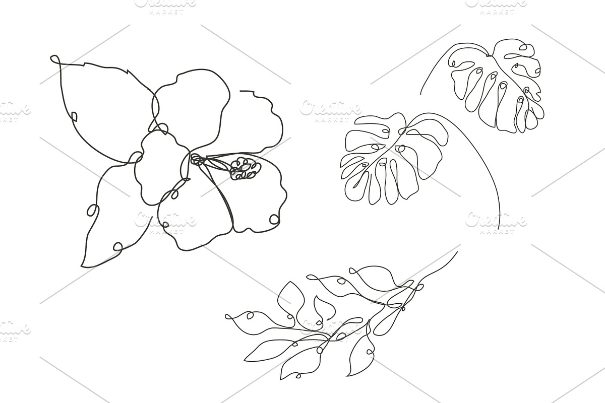 71 Flowers Continuous Line Set, a Decorative Illustration by Sunset&Sea Design (Photo 8 of 8)