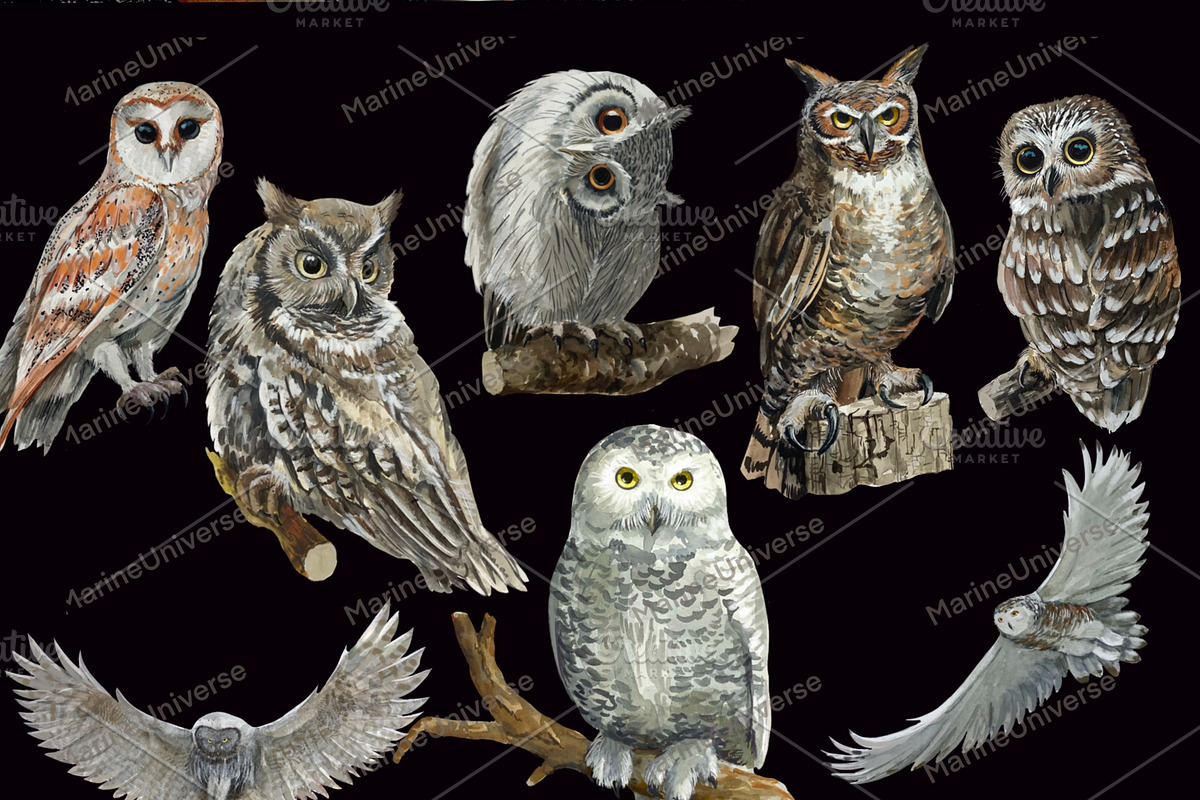 Owls in the forest .Woodland., an Animal Illustration by AkvarelRiver (Photo 6 of 9)