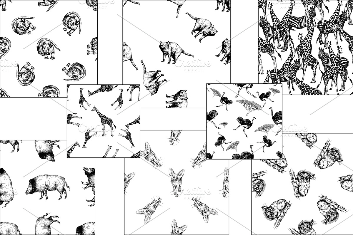 Wild Animals, an Animal Illustration by Ecaterina Sciuchina (Photo 3 of 4)
