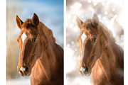 Photography Boken Maker, an Action Add-On by MRI STUDIO (Thumbnail 6 of 14)