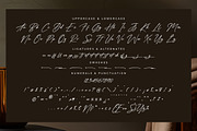Alrengths, a Script Font by Integritype Studio (Thumbnail 13 of 15)