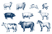 Farm Animals Vector Collection, an Animal Illustration by Lubov Illustrations Shop (Thumbnail 2 of 4)